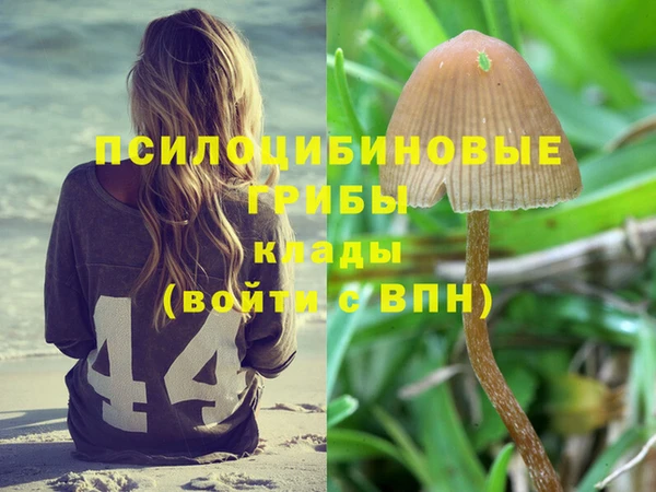 мяу мяу мука Алзамай