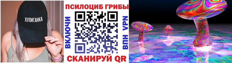 Псилоцибиновые грибы мицелий купить закладку Ступино